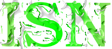 ISN